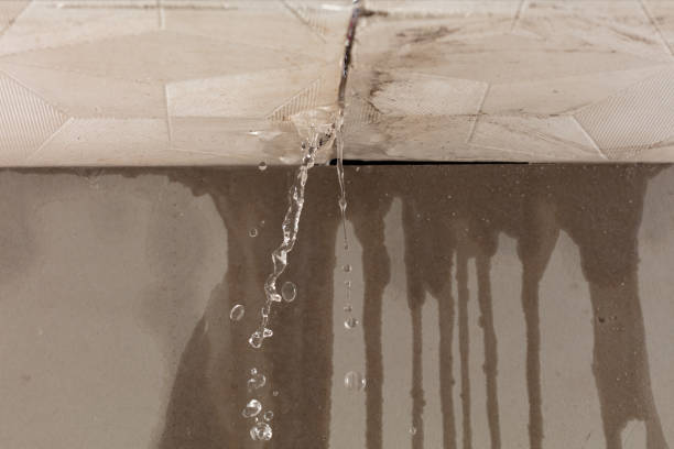 Professional Water Damage Repair technician working in North Springfield, VA